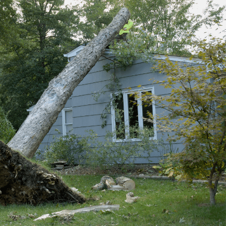 Roof Storm Damage